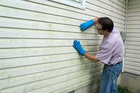 Best Storm Damage Siding Repair  in Phoenix, OR